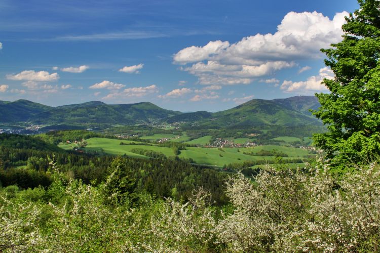 Chráněná krajinná oblast Beskydy.